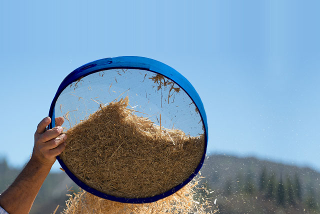 Sorting the 'Wheat from the Chaff'?