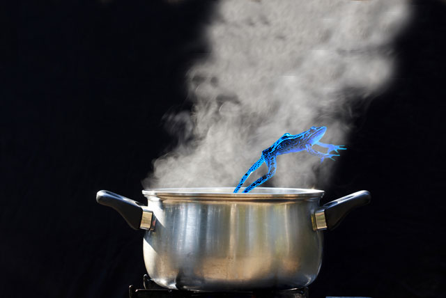 Is there life in the old frog yet?