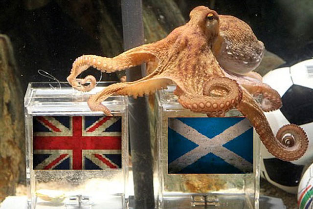 The Scottish Referendum: What would Paul say?