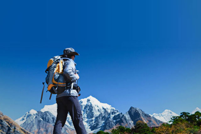 TAM Outlook for 2011