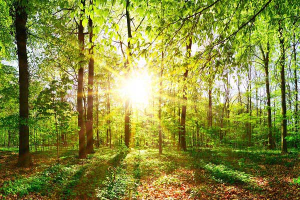 The future is bright for ESG