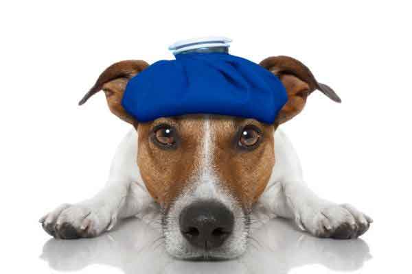 Keeping a cool head is the key this month