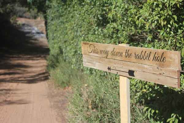 Is TAM avoiding the illiquidity rabbit hole?