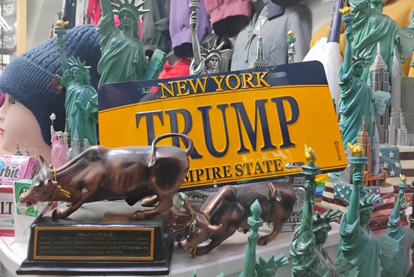 Navigating the ‘Trump Trade’: Insights from TAM